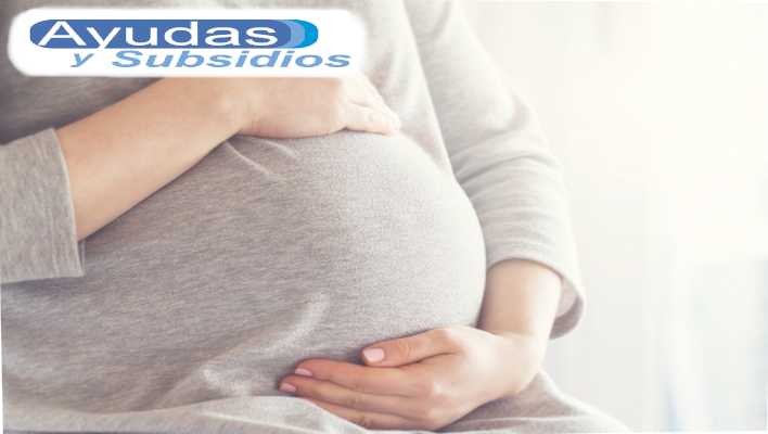 tipos de subsidios Peru