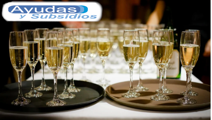 Curso de Catering