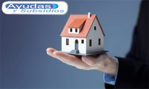 nuevo programa de subsidios