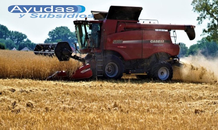 curso de Agrobiotecnología